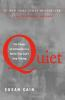 Book cover for "Quiet".