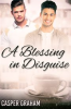 Book cover for "A Blessing in Disguise".