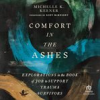 Book cover for "Comfort in the Ashes".
