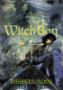 Book cover for "Witch Boy".