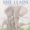 Book cover for "She leads".