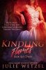 Book cover for "Kindling Flames Boxed Set and Granting Wishes".