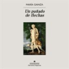 Book cover for "Un puñado de flechas".