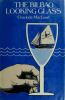 Book cover for "The Bilbao looking glass".