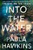 Book cover for "Into the water".