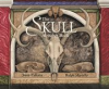 Book cover for "The Skull Alphabet Book".