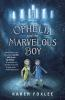Book cover for "Ophelia and the marvelous boy".