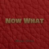 Book cover for "Now What".