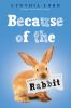 Book cover for "Because of the rabbit".