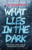 Book cover for "What Lies in the Dark".