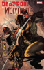 Book cover for "Deadpool vs. Wolverine".