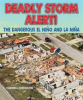 Book cover for "Deadly Storm Alert!".