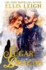 Book cover for "Sugar Dragon: A Kinship Cove Fun & Flirty Romance".