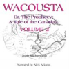 Book cover for "Wacousta or, the prophecy: A Tale of the Canadas Volume 2".