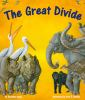 Book cover for "The great divide".