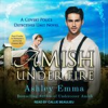 Book cover for "Amish Under Fire".