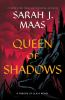 Book cover for "Queen of shadows".