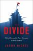 Book cover for "The divide".