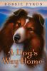 Book cover for "A dog's way home".