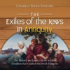 Book cover for "The Exiles of the Jews in Antiquity: The History and Legacy of the Ancient Conflicts that Created th".