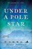 Book cover for "Under a pole star".