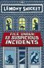 Book cover for "File under: 13 suspicious incidents".