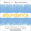 Book cover for "Abundance".