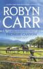 Book cover for "Promise Canyon".