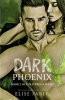 Book cover for "Dark Phoenix".