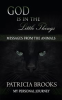 Book cover for "God is in the Little Things".