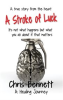 Book cover for "A Stroke of Luck".