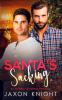 Book cover for "Santa's Sacking".