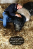 Book cover for "Kindred Spirits".