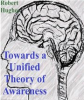Book cover for "Towards a Unified Theory of Awareness".