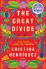 Book cover for "The great divide".