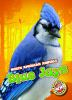 Book cover for "Blue jays".