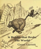 Book cover for "A Bubble That Broke the World".
