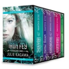 Book cover for "Iron Fey Series Volume 1".