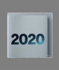 Book cover for "2020".