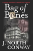 Book cover for "Bag of bones".