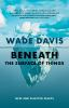 Book cover for "Beneath the surface of things".