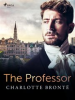 Book cover for "The Professor".