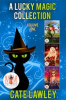 Book cover for "A Lucky Magic Collection: Magic and Mayhem Universe".