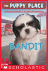 Book cover for "Bandit".