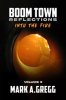 Book cover for "Into the Fire (Boom Town Reflections Volume 3)".