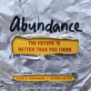 Book cover for "Abundance".