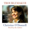 Book cover for "Troublemaker".