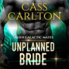 Book cover for "Unplanned Bride".