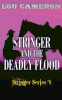Book cover for "Stringer and the Deadly Flood".