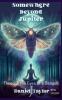 Book cover for "Somewhere Beyond Jupiter: Through the Eyes of a Seagull".